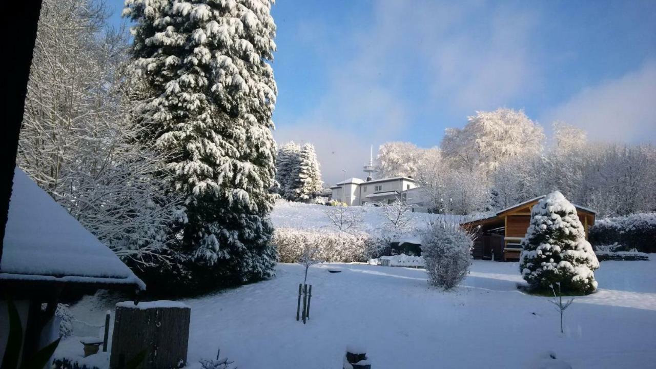 Ferienhaus Rosemarie Breungeshain Екстериор снимка